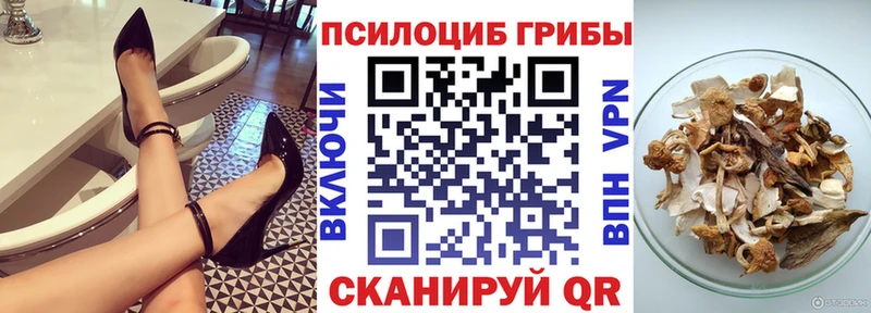 даркнет сайт  Осинники  Галлюциногенные грибы Cubensis 